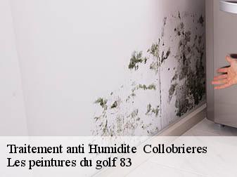 Traitement anti Humidite