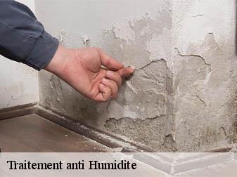 Traitement anti Humidite
