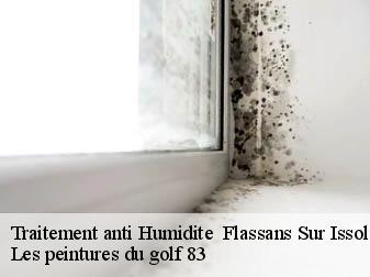 Traitement anti Humidite flassans-sur-issole-83340 Les peintures du golf 83