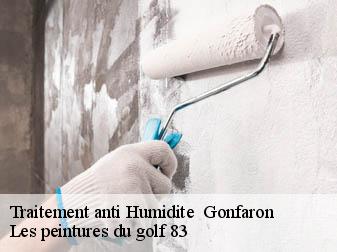 Traitement anti Humidite   83590