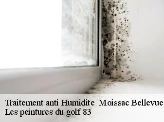 Traitement anti Humidite moissac-bellevue-83630 Les peintures du golf 83