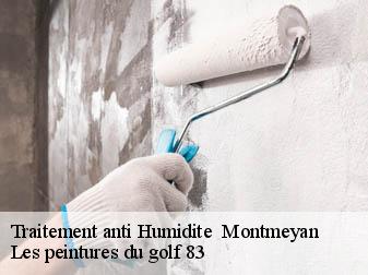 Traitement anti Humidite 83670