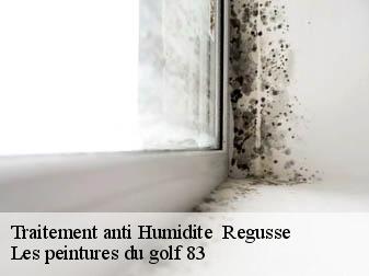 Traitement anti Humidite regusse-83630 Les peintures du golf 83