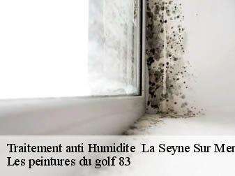 Traitement anti Humidite   la-seyne-sur-mer-83500 Les peintures du golf 83