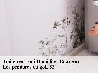 Traitement anti Humidite
