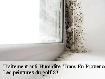 Traitement anti Humidite   trans-en-provence-83720 Les peintures du golf 83