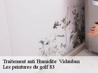 Traitement anti Humidite 