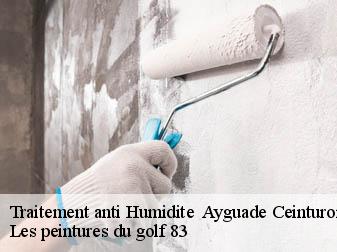 Traitement anti Humidite 83400