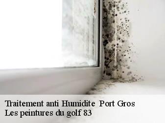 Traitement anti Humidite port-gros-83400 Les peintures du golf 83