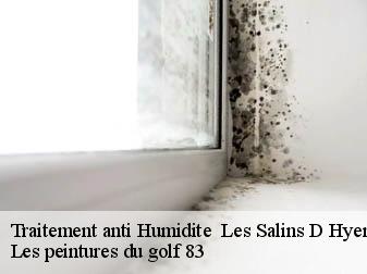 Traitement anti Humidite les-salins-d-hyeres-83400 Les peintures du golf 83