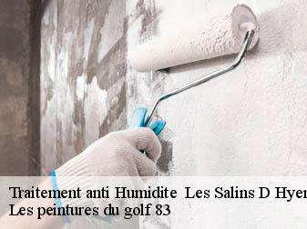Traitement anti Humidite 83400